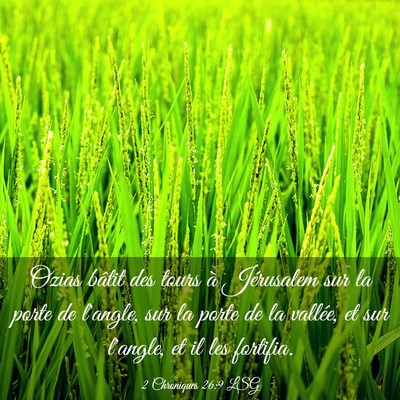 Picture 03 - 2 Chroniques 26:9 LSG - Ozias bâtit des tours à Jérusalem sur la porte - Bible Verse Picture