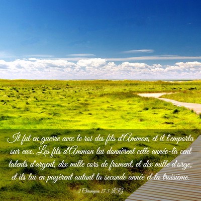 Picture 03 - 2 Chroniques 27:5 LSG - Il fut en guerre avec le roi des fils d'Ammon, et - Bible Verse Picture