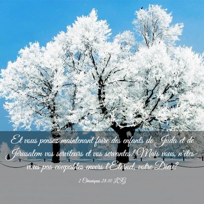 Picture 03 - 2 Chroniques 28:10 LSG - Et vous pensez maintenant faire des enfants de - Bible Verse Picture