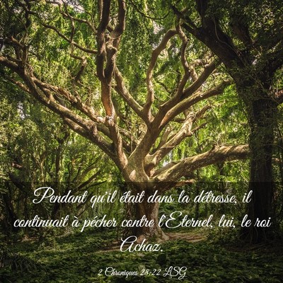 Picture 03 - 2 Chroniques 28:22 LSG - Pendant qu'il était dans la détresse, il - Bible Verse Picture
