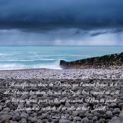 Picture 03 - 2 Chroniques 28:23 LSG - Il sacrifia aux dieux de Damas, qui l'avaient - Bible Verse Picture