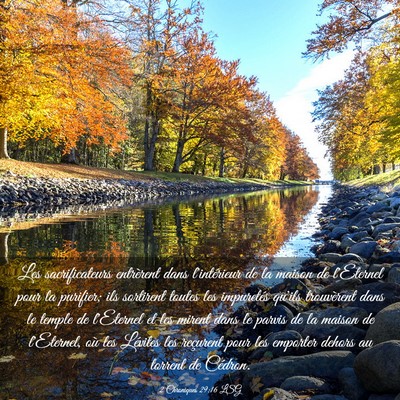 Picture 03 - 2 Chroniques 29:16 LSG - Les sacrificateurs entrèrent dans l'intérieur - Bible Verse Picture