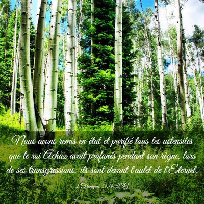 Picture 03 - 2 Chroniques 29:19 LSG - Nous avons remis en état et purifié tous les - Bible Verse Picture