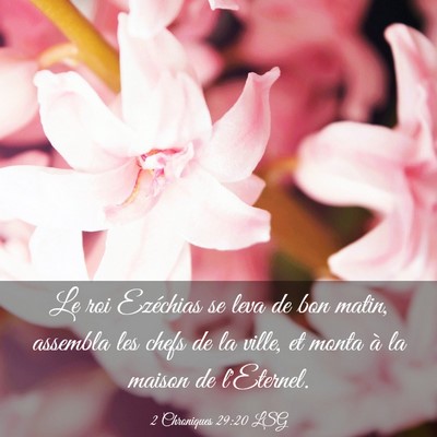 Picture 03 - 2 Chroniques 29:20 LSG - Le roi Ezéchias se leva de bon matin, assembla - Bible Verse Picture