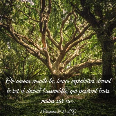Picture 03 - 2 Chroniques 29:23 LSG - On amena ensuite les boucs expiatoires devant le - Bible Verse Picture
