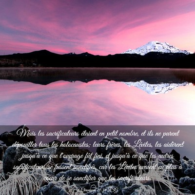 Picture 03 - 2 Chroniques 29:34 LSG - Mais les sacrificateurs étaient en petit nombre, - Bible Verse Picture