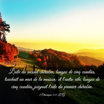 Picture 03 - 2 Chroniques 3:12 LSG - L'aile du second chérubin, longue de cinq - Bible Verse Picture