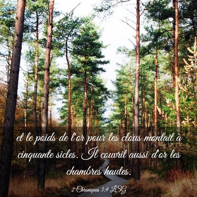 Picture 03 - 2 Chroniques 3:9 LSG - et le poids de l'or pour les clous montait à - Bible Verse Picture