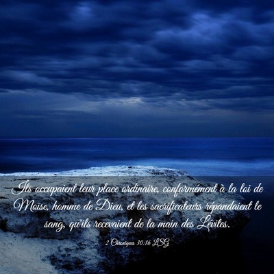 Picture 03 - 2 Chroniques 30:16 LSG - Ils occupaient leur place ordinaire, - Bible Verse Picture