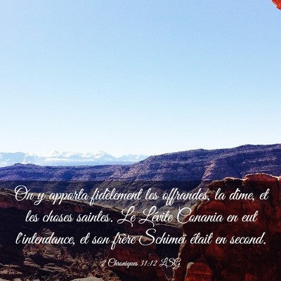 Picture 03 - 2 Chroniques 31:12 LSG - On y apporta fidèlement les offrandes, la dîme, - Bible Verse Picture
