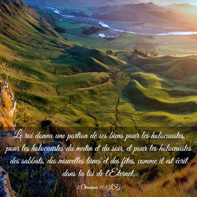 Picture 03 - 2 Chroniques 31:3 LSG - Le roi donna une portion de ses biens pour les - Bible Verse Picture