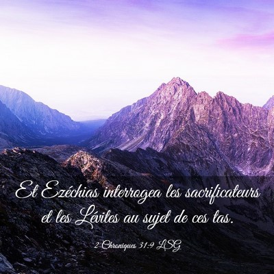 Picture 03 - 2 Chroniques 31:9 LSG - Et Ezéchias interrogea les sacrificateurs et les - Bible Verse Picture