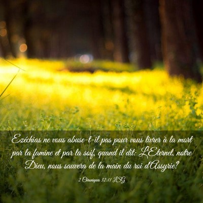 Picture 03 - 2 Chroniques 32:11 LSG - Ezéchias ne vous abuse-t-il pas pour vous livrer - Bible Verse Picture