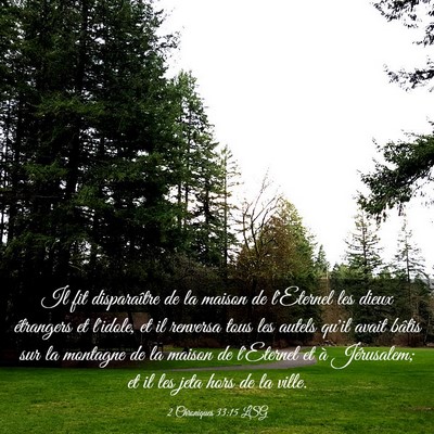 Picture 03 - 2 Chroniques 33:15 LSG - Il fit disparaître de la maison de l'Eternel les - Bible Verse Picture