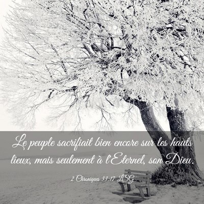 Picture 03 - 2 Chroniques 33:17 LSG - Le peuple sacrifiait bien encore sur les hauts - Bible Verse Picture
