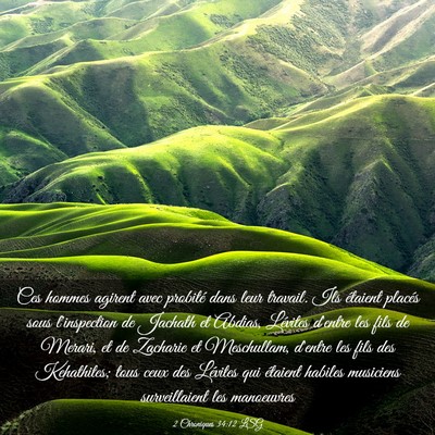 Picture 03 - 2 Chroniques 34:12 LSG - Ces hommes agirent avec probité dans leur - Bible Verse Picture