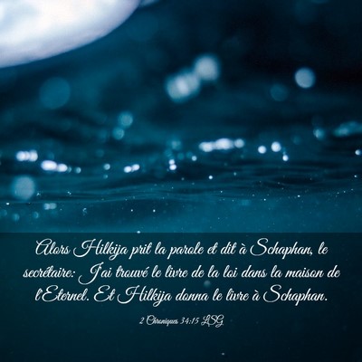 Picture 03 - 2 Chroniques 34:15 LSG - Alors Hilkija prit la parole et dit à Schaphan, - Bible Verse Picture