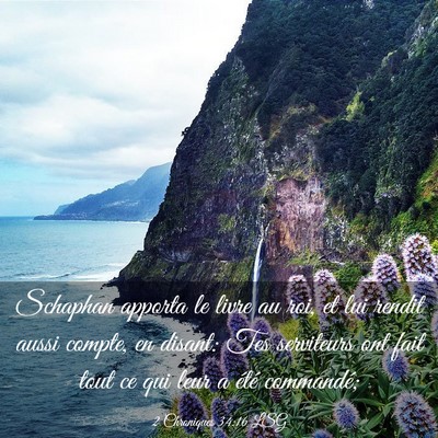 Picture 03 - 2 Chroniques 34:16 LSG - Schaphan apporta le livre au roi, et lui rendit - Bible Verse Picture