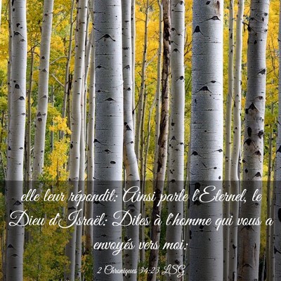 Picture 03 - 2 Chroniques 34:23 LSG - elle leur répondit: Ainsi parle l'Eternel, le - Bible Verse Picture