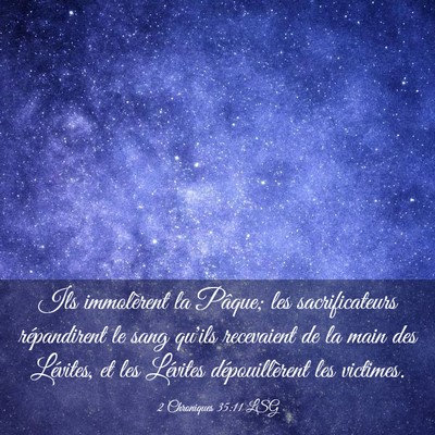 Picture 03 - 2 Chroniques 35:11 LSG - Ils immolèrent la Pâque; les sacrificateurs - Bible Verse Picture