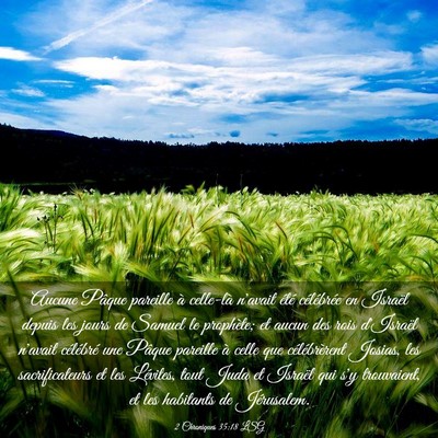 Picture 03 - 2 Chroniques 35:18 LSG - Aucune Pâque pareille à celle-là n'avait été - Bible Verse Picture