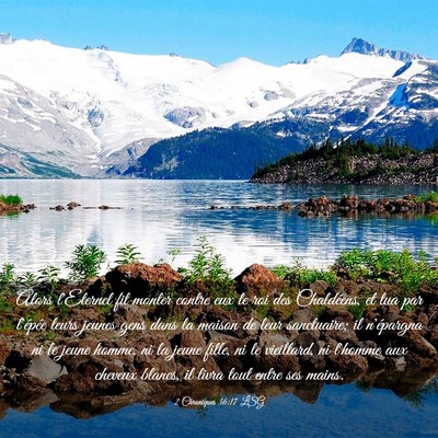 Picture 03 - 2 Chroniques 36:17 LSG - Alors l'Eternel fit monter contre eux le roi des - Bible Verse Picture