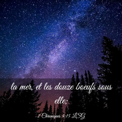 Picture 03 - 2 Chroniques 4:15 LSG - la mer, et les douze boeufs sous - Bible Verse Picture