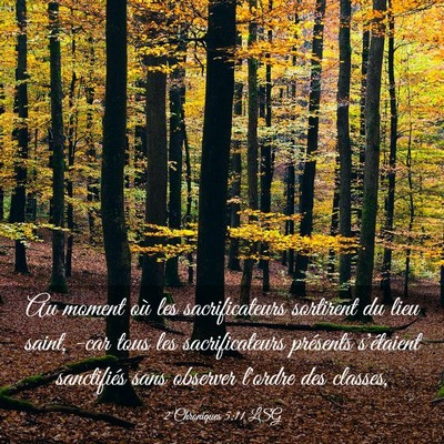 Picture 03 - 2 Chroniques 5:11 LSG - Au moment où les sacrificateurs sortirent du - Bible Verse Picture