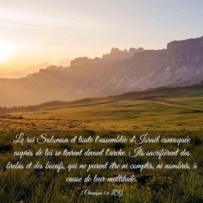 Picture 03 - 2 Chroniques 5:6 LSG - Le roi Salomon et toute l'assemblée d'Israël - Bible Verse Picture