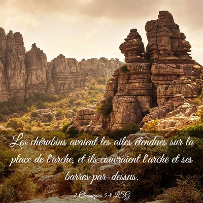 Picture 03 - 2 Chroniques 5:8 LSG - Les chérubins avaient les ailes étendues sur la - Bible Verse Picture