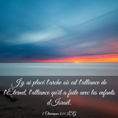 Picture 03 - 2 Chroniques 6:11 LSG - J'y ai placé l'arche où est l'alliance de - Bible Verse Picture