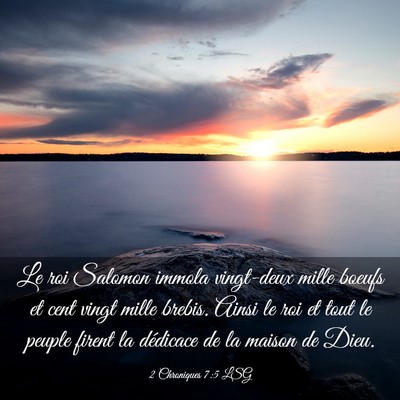 Picture 03 - 2 Chroniques 7:5 LSG - Le roi Salomon immola vingt-deux mille boeufs et - Bible Verse Picture