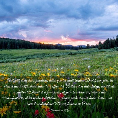 Picture 03 - 2 Chroniques 8:14 LSG - Il établit dans leurs fonctions, telles que les - Bible Verse Picture