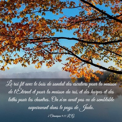 Picture 03 - 2 Chroniques 9:11 LSG - Le roi fit avec le bois de sandal des escaliers - Bible Verse Picture