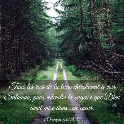 Picture 03 - 2 Chroniques 9:23 LSG - Tous les rois de la terre cherchaient à voir - Bible Verse Picture