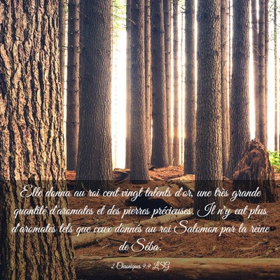 Picture 03 - 2 Chroniques 9:9 LSG - Elle donna au roi cent vingt talents d'or, une - Bible Verse Picture