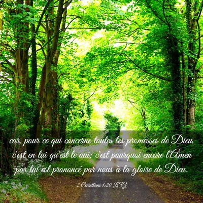 Picture 03 - 2 Corinthiens 1:20 LSG - car, pour ce qui concerne toutes les promesses de - Bible Verse Picture