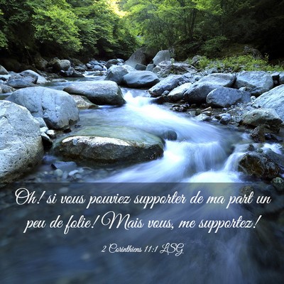 Picture 03 - 2 Corinthiens 11:1 LSG - Oh! si vous pouviez supporter de ma part un peu - Bible Verse Picture