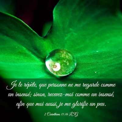 Picture 03 - 2 Corinthiens 11:16 LSG - Je le répète, que personne ne me regarde comme - Bible Verse Picture