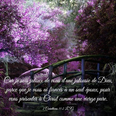Picture 03 - 2 Corinthiens 11:2 LSG - Car je suis jaloux de vous d'une jalousie de - Bible Verse Picture