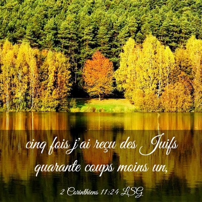 Picture 03 - 2 Corinthiens 11:24 LSG - cinq fois j'ai reçu des Juifs quarante coups - Bible Verse Picture