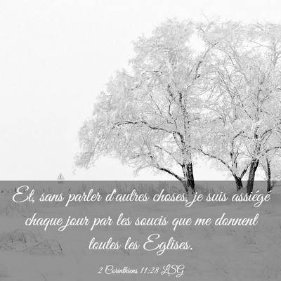 Picture 03 - 2 Corinthiens 11:28 LSG - Et, sans parler d'autres choses, je suis - Bible Verse Picture