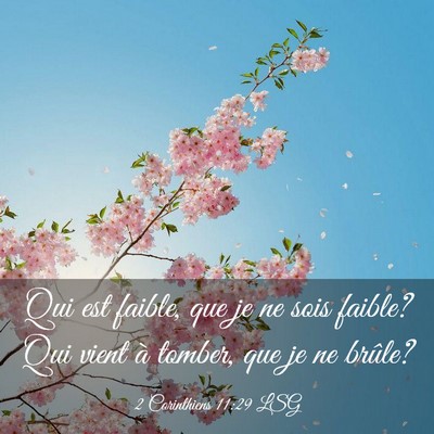 Picture 03 - 2 Corinthiens 11:29 LSG - Qui est faible, que je ne sois faible? Qui vient - Bible Verse Picture