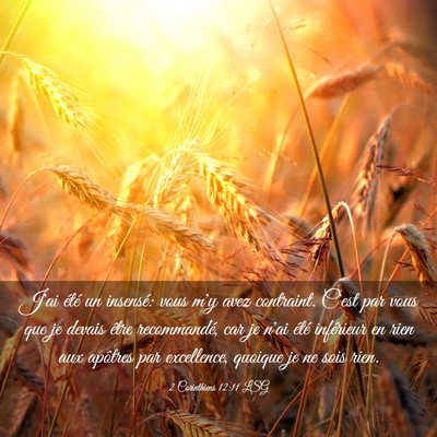 Picture 03 - 2 Corinthiens 12:11 LSG - J'ai été un insensé: vous m'y avez contraint. - Bible Verse Picture