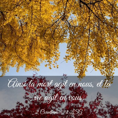 Picture 03 - 2 Corinthiens 4:12 LSG - Ainsi la mort agit en nous, et la vie agit en - Bible Verse Picture