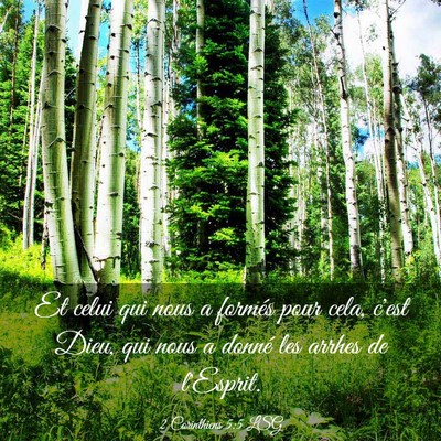 Picture 03 - 2 Corinthiens 5:5 LSG - Et celui qui nous a formés pour cela, c'est - Bible Verse Picture