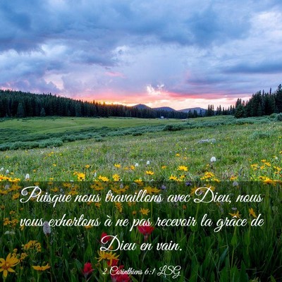 Picture 03 - 2 Corinthiens 6:1 LSG - Puisque nous travaillons avec Dieu, nous vous - Bible Verse Picture
