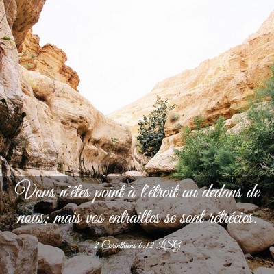 Picture 03 - 2 Corinthiens 6:12 LSG - Vous n'êtes point à l'étroit au dedans de - Bible Verse Picture