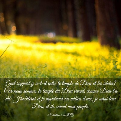 Picture 03 - 2 Corinthiens 6:16 LSG - Quel rapport y a-t-il entre le temple de Dieu et - Bible Verse Picture