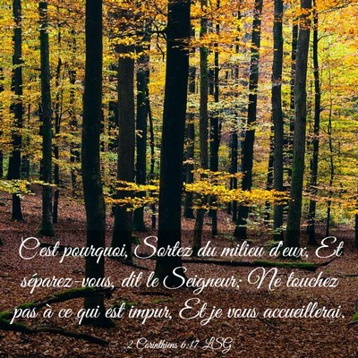 Picture 03 - 2 Corinthiens 6:17 LSG - C'est pourquoi, Sortez du milieu d'eux, Et - Bible Verse Picture